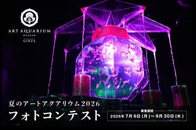 ART AQUARIUM MUSEUM GINZA 启动“金鱼鉴赏”Instagram摄影大赛，迎接2026夏季艺术水族馆