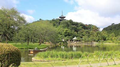 三溪園大茶會時隔 9 年再度舉辦 — 第 31 屆活動將於橫濱登場