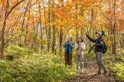Picchio Offers Four Autumn Nature Tours in Karuizawa, From Larch Foliage Trekking to Flying Squirrel Watching
