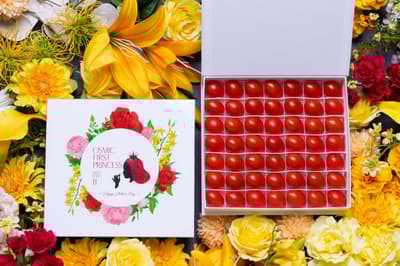 松坂屋名古屋店OSMIC FIRST快閃活動 主打糖度超過11度的水果小番茄