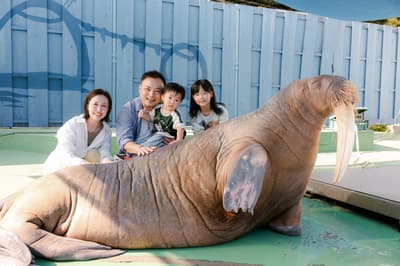 伊勢シーパラダイスの「ふれあい体験」が伊勢ブランドに認定