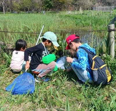 Evento del Equipo de Estudio de Vida Silvestre de Fukuoka se llevará a cabo en el Parque Nacional Costero Uminonakamichi