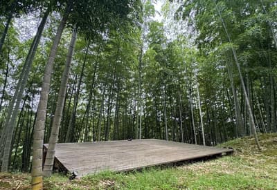 BAMBOO BASE KATSUURA, a Private Bamboo Grove Campsite for One Group a Day, Reopens in Katsuura, Chiba