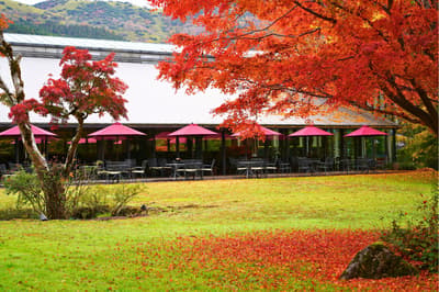 Hakone Emoa Terrace Meluncurkan Paket Hidangan Penutup Musim Gugur dan Paket Pagi Orient Express untuk Grup