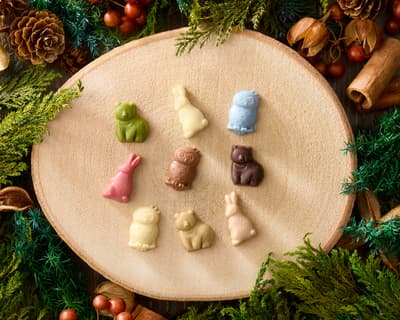 轻井泽巧克力工厂推出新款“可可魅力”系列，包含9种口味