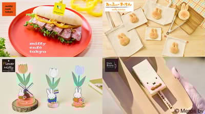 米菲兔生日月活动来袭，全日本各地快闪咖啡厅与限定商店齐聚豪斯登堡