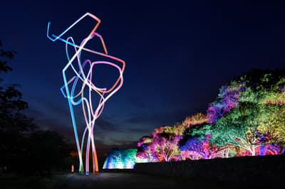 teamLab: Digitized Fukuoka Castle Ruins Returns October 30 for the First Time in 7 Years, Turning the Nighttime Ruins into an Art Space Shaped by People's Presence