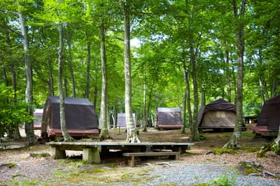 ลานกางเต็นท์เขาฮางุโระเปิดให้บริการ 25 เมษายน 2026 พร้อมลานกางเต็นท์แบบเด็คและราคาช่วงนอกฤดูกาลท่องเที่ยว