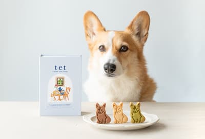 tet coffee and bake 推出「tet book」——以書籍為主題的無麩質柯基餅乾