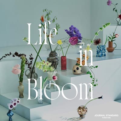 JOURNAL STANDARD FURNITURE 推出以「Life in Bloom」為概念的原創花瓶系列