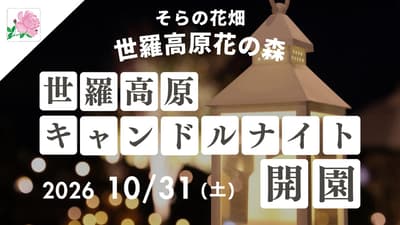 Sera Kogen Candle Night Dibuka Mulai 31 Oktober di Sora no Hanabatake Sera Kogen Hana no Mori, Hiroshima