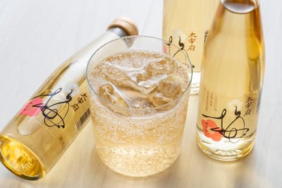 Dazaifu Plum Cider Returns for an 11th Year, Made From Freshly Harvested Local Plums