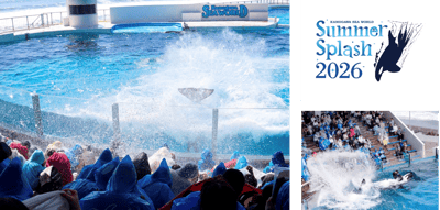 Kamogawa Sea World Brings Back "Summer Splash" — Get Soaked by Orca Power Starting July 1