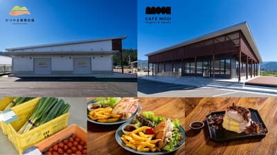 胜山DMO运营的胜山农产品市场和CAFE MOOI蔬菜&甜点将于11月7日开业
