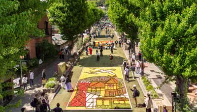 2026년 인피오라타 고베, 제28회 행사 꽃잎 예술 디자인 공개