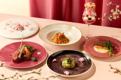JAM17 DINING & BAR 於新宿推出櫻花主題春季菜單 GROOVEN SPRING
