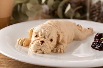 简直就像真小狗！SNS热门甜点"小狗奶冻"在难波丸井首次亮相！