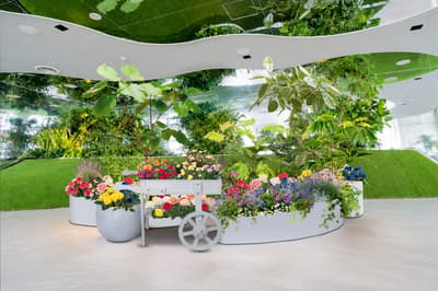 池袋Sunshine City“天空公园梅雨和”：适合全家参与的工作坊与宝宝爬行大赛 — 天空公园雨季花卉盛宴，6月5日至7月5日举行