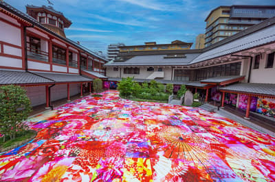 New Original Yukata From "Mika Ninagawa with EiM × Dogo Art" Debuts in Two Vivid Designs at Ehime's Dogo Onsen