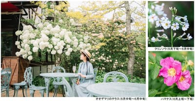 ROKKO Musical Box Museum & Gardens MORINONE – SIKI Garden Early Summer Season "Concerto" 2026