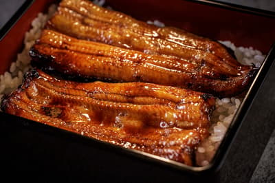 東京威斯汀酒店以鰻魚料理慶祝夏季，三家餐廳共同推出限定菜單