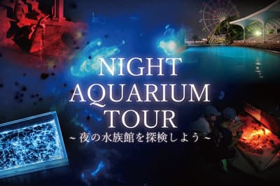 Minami-Chita Beachland Launches Flashlight-Guided Night Aquarium Tour This Summer