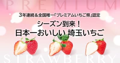 埼玉草莓季来啦！品尝日本最美味的草莓