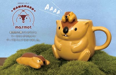 Village Vanguard vuelve a poner a la venta sus artículos virales de marmota tras una popularidad abrumadora
