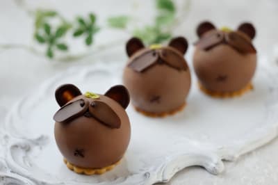 Biwako Hotel's Autumn "Tanuki" Cake Returns for a 5th Year with Chocolate and Banana