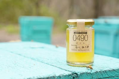 Honey Hunter Ichikawa Takusaburo Opens 2026 Season with Cherry Blossom Honey from Osaka's Kashiwara