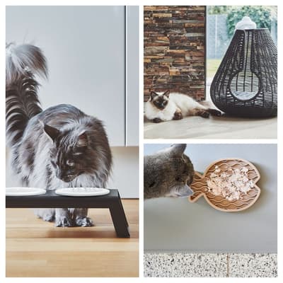 ร้านป๊อปอัปสินค้าแมว "Life with Cat" เปิดให้บริการที่ร้าน Watashinoheya สาขาจิยูกาโอกะ ตั้งแต่วันที่ 19 สิงหาคม