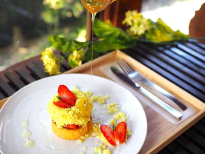 봄 한정 “나비 춤추는 유채꽃밭 케이크”, 도요하시 오카메도 카페에서 첫 선