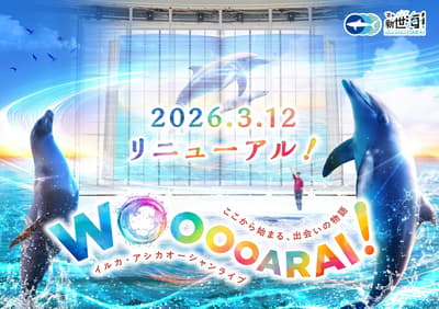 Aqua World茨城大洗水族馆的“海豚与海狮海洋直播”全面焕新