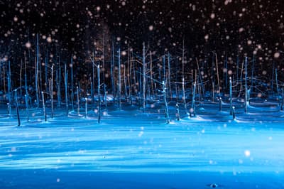 北海道11月最佳8件事（札幌/小樽/美瑛）