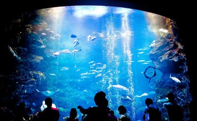 京都的19個室內設施 建議雨天使用。