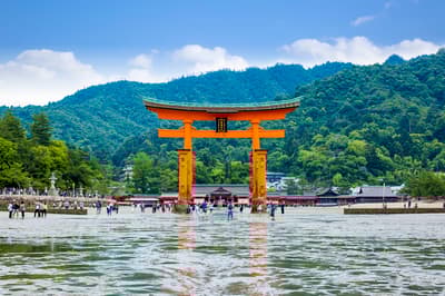 广岛9月最佳8件事：采摘水果、传统工艺体验、骑行景点