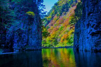 10月廣島旅遊最值得做的 6 件事：秋季美食節和清酒節、露營地等