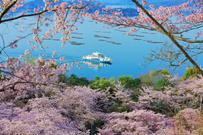 4月廣島的7件最佳活動：櫻花、花園景點和節日活動