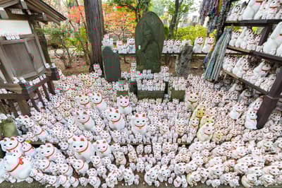 東京的8個奇特景點