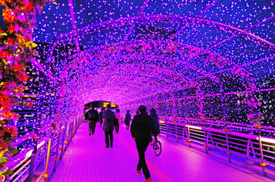 福冈冬季4件最佳事情