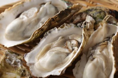 广岛2月最佳6件事：牡蛎节、牡蛎船餐厅、热门巧克力店