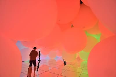 TeamLab Planets 體驗報告：所有亮點和注意事項的詳盡說明 – TeamLab Planets TOKYO DMM 豐洲
