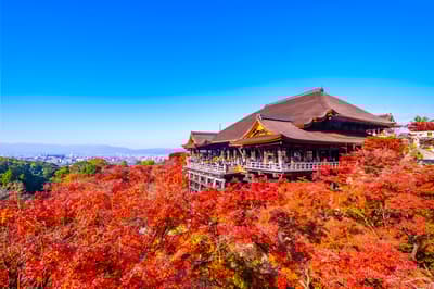 秋天在京都要做的4件事