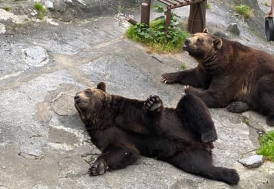 北海道6个酷炫景点（札幌/美瑛/富良野/登别）