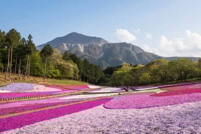 埼玉觀光不容錯過的 7 個經典景點