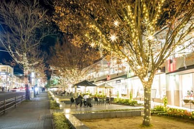 12月在愛知縣（名古屋）必做的6件事