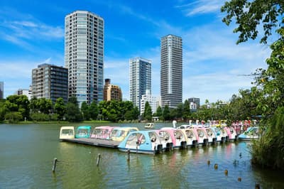 上野公園完整指南：享受自然與藝術！動物園、博物館等旅遊景點列表