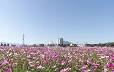 10月福岡旅遊必做的7件事