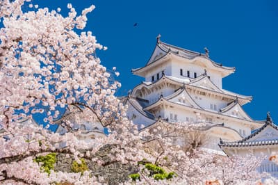 9 Best Things to Do in Hyogo (Koube) in spring (March to May)