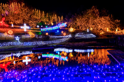 广岛冬季最佳4件事：推荐活动，旅行前须知